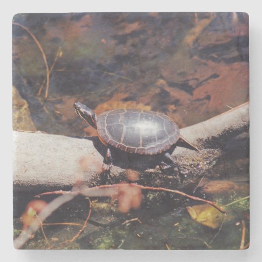 Happy Turtle Stenen Onderzetter (Voorkant)