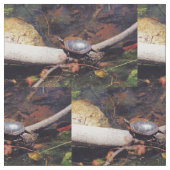 Happy Turtle Stof (Close Up)