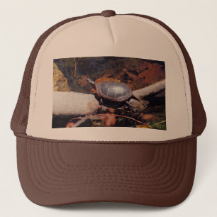 Happy Turtle Trucker Pet