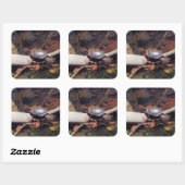 Happy Turtle Vierkante Sticker (Vel)