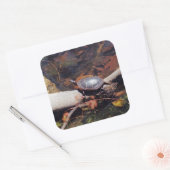 Happy Turtle Vierkante Sticker (Envelop)
