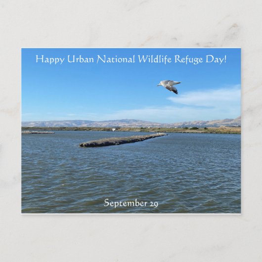Happy Urban National Wildlife Refuge Day! Briefkaart (Voorkant)