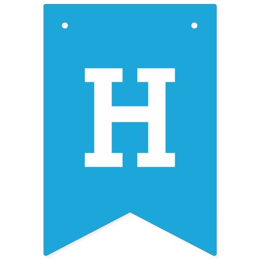 Happy Vaderdag Bunting Banner Party Flags (Eerste vlag)