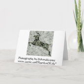 Happy Vaderdag Camo Deer Kaart (Achterkant)