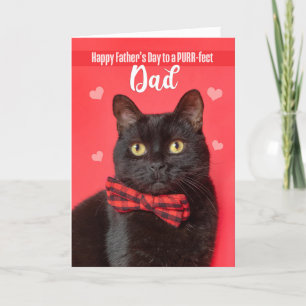 	Happy Vaderdag Dad Cute Cat in Bow Stropdas Humor Feestdagen Kaart
