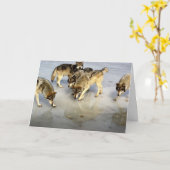 Happy Vaderdag Kaart (Gele Bloem)