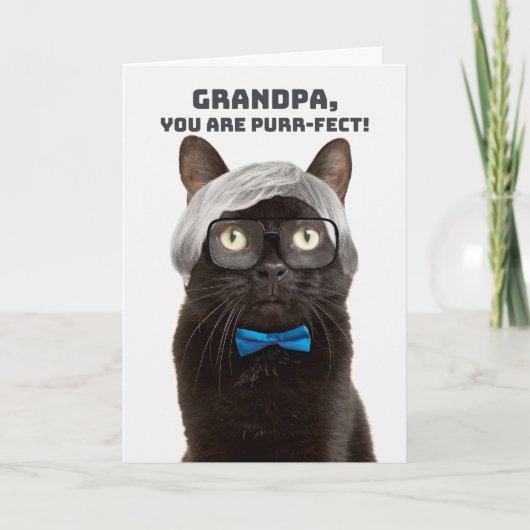 Happy Vaderdag Opa Oud Man Kat Humor Feestdagen Kaart (Voorkant)