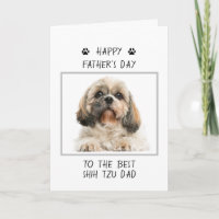 Happy Vaderdag Shih Tzu Papa Foto Grappig