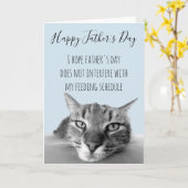 Happy Vaderdag van kat naar menselijke Humor Kaart (Gele Bloem)