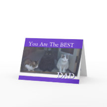 Happy Vaderdag van katten