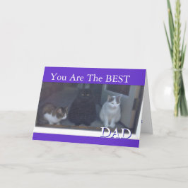 Happy Vaderdag van katten Kaart
