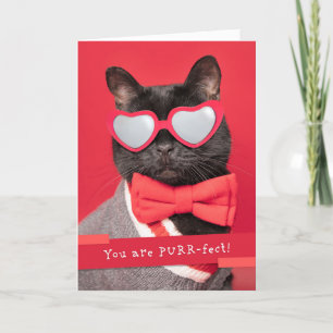Happy Valeneitne's Day Cute Cat in Heart Glasses Feestdagen Kaart