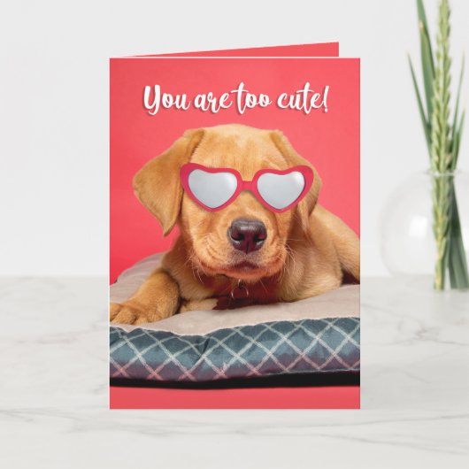 Happy Valeneitne's Day Cute Labrador Puppy Humor Feestdagen Kaart (Voorkant)