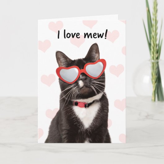 Happy Valeneitne's Day I Love Mew Schattige Cat Feestdagen Kaart (Voorkant)