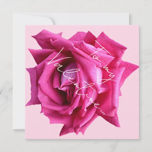 Happy Valentijn heet roze roos bloemenboho glam Kaart (Voorkant)