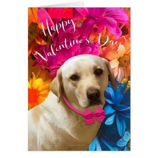 Happy Valentijn Pet, Dog, Cute Labrador Flowers (Voorkant)