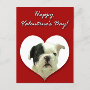 Happy Valentijns' Bulldog briefkaart
