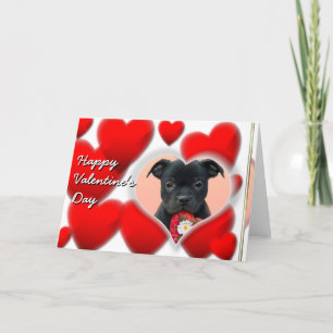 Happy Valentijns Staffordshire Bull Terrier Kaart