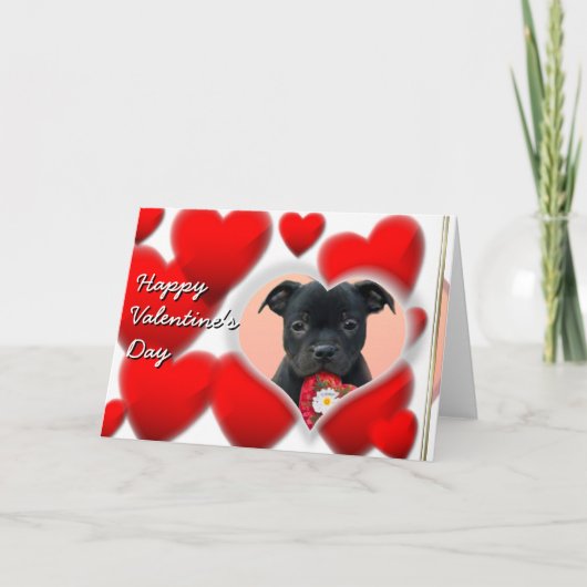 Happy Valentijns Staffordshire Bull Terrier Kaart (Voorkant)