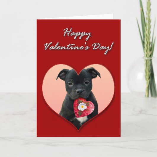 Happy Valentijns Staffordshire Bull Terrier Kaart (Voorkant)
