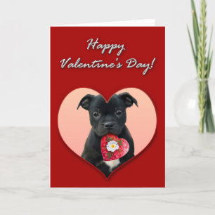 Happy Valentijns Staffordshire Bull Terrier Kaart