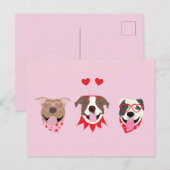 Happy Valentijnsdag Amerikaanse Pit Bull Terriers Briefkaart (Voorkant / Achterkant)