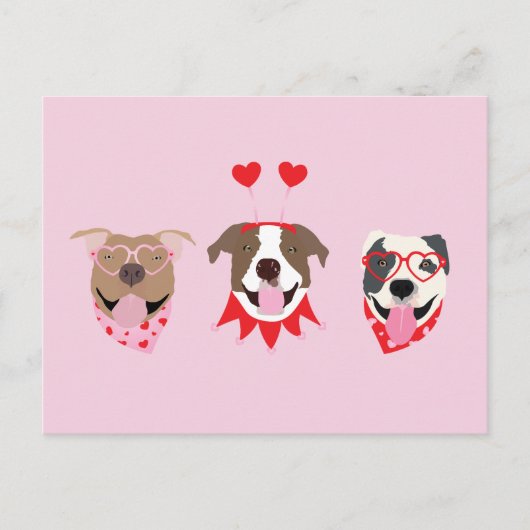 Happy Valentijnsdag Amerikaanse Pit Bull Terriers Briefkaart (Voorkant)