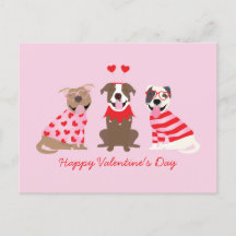 Happy Valentijnsdag Amerikaanse Pit Bull Terriers