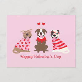 Happy Valentijnsdag Amerikaanse Pit Bull Terriers Briefkaart
