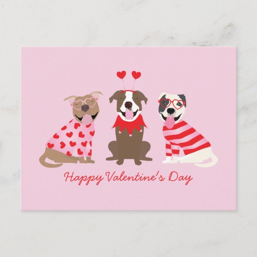 Happy Valentijnsdag Amerikaanse Pit Bull Terriers Briefkaart (Voorkant)