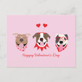 Happy Valentijnsdag Amerikaanse Pit Bull Terriers Briefkaart