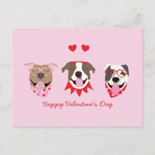 Happy Valentijnsdag Amerikaanse Pit Bull Terriers Briefkaart