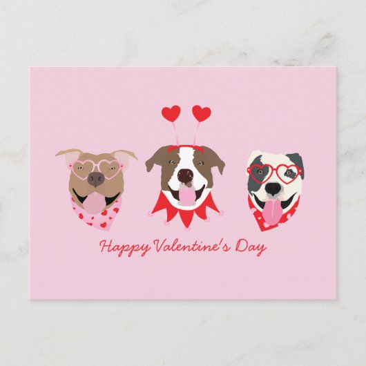 Happy Valentijnsdag Amerikaanse Pit Bull Terriers Briefkaart (Voorkant)