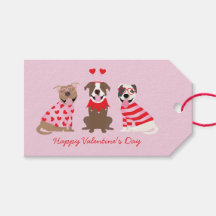 Happy Valentijnsdag Amerikaanse Pit Bull Terriers