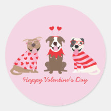 Happy Valentijnsdag Amerikaanse Pit Bull Terriers