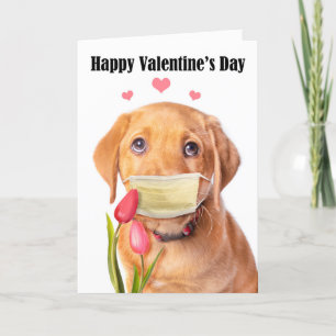Happy Valentijnsdag Cute Lab Puppy in Face Mask Feestdagen Kaart