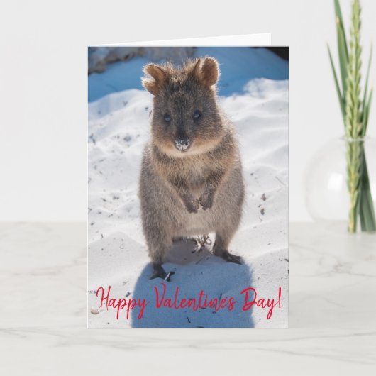 Happy Valentijnsdag Cute Quokka op de strand Kaart (Voorkant)