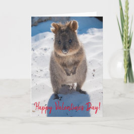 Happy Valentijnsdag Cute Quokka op de strand Kaart