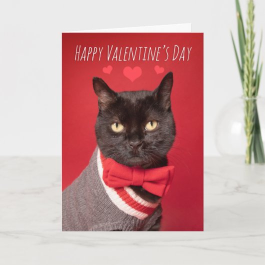 Happy Valentijnsdag Handsome Black Cat Bow Stropda Feestdagen Kaart (Voorkant)