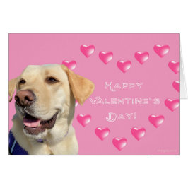 Happy Valentijnsdag Lab Dog Hearts Love Kaart