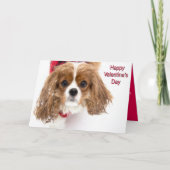 Happy Valentijnsdag Snowy Cavalier King Charles Feestdagen Kaart (Voorkant)