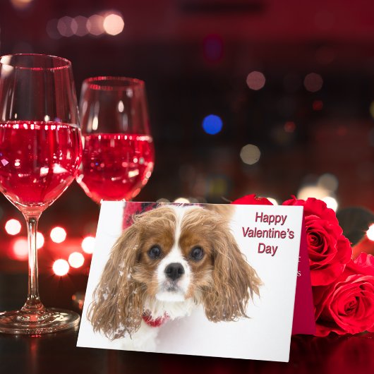 Happy Valentijnsdag Snowy Cavalier King Charles Feestdagen Kaart