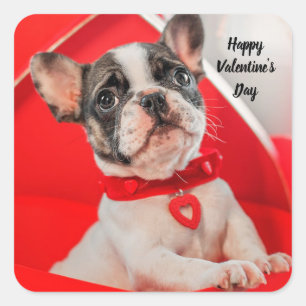 Happy Valentijns's Franse Bulldog Sticker