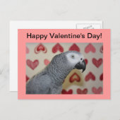 Happy Valentine's Day African Grey Parrot Briefkaa Feestdagenkaart (Voorkant / Achterkant)