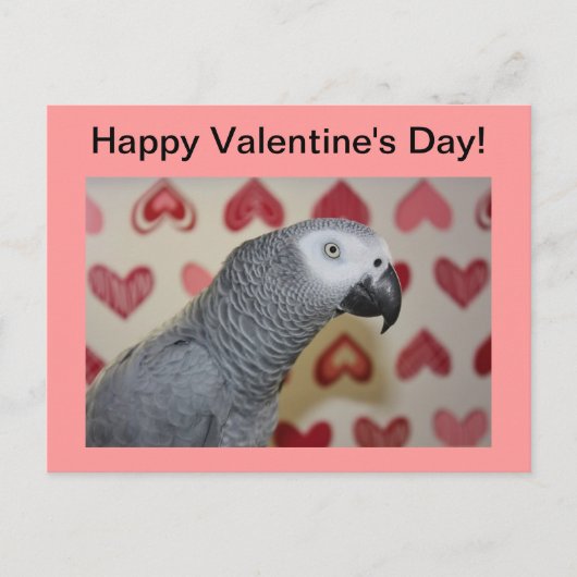 Happy Valentine's Day African Grey Parrot Briefkaa Feestdagenkaart (Voorkant)