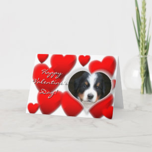 Happy Valentine's Day Bernese Mountain Dog-kaart Feestdagen Kaart