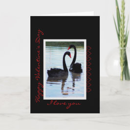 Happy Valentine's Day Black Swans Feestdagen Kaart