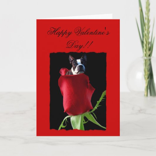 Happy Valentine's Day Boston Terrier Wenskaart Feestdagen Kaart (Voorkant)