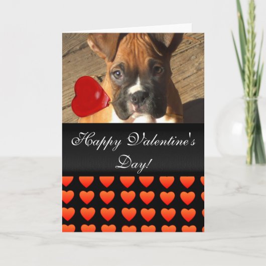 Happy Valentine's Day Boxer hondenharten Kaart (Voorkant)
