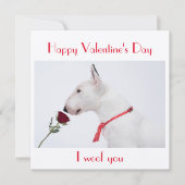 Happy Valentine's Day Bull Terrier with a Rose Kaart (Voorkant)
